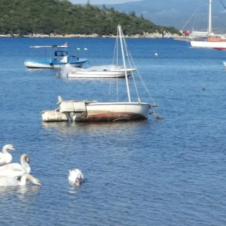 Karaelmas Daire Siğacık