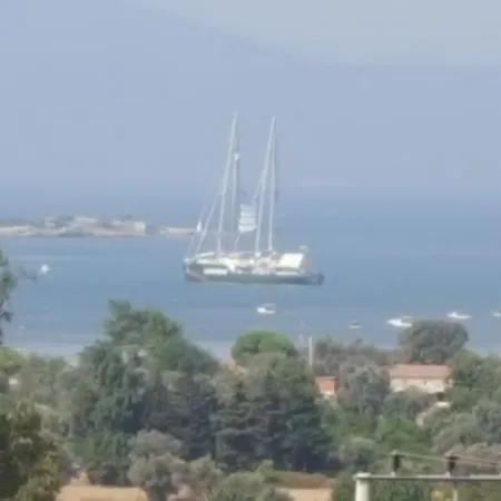 Daire Karaelmas Siğacık